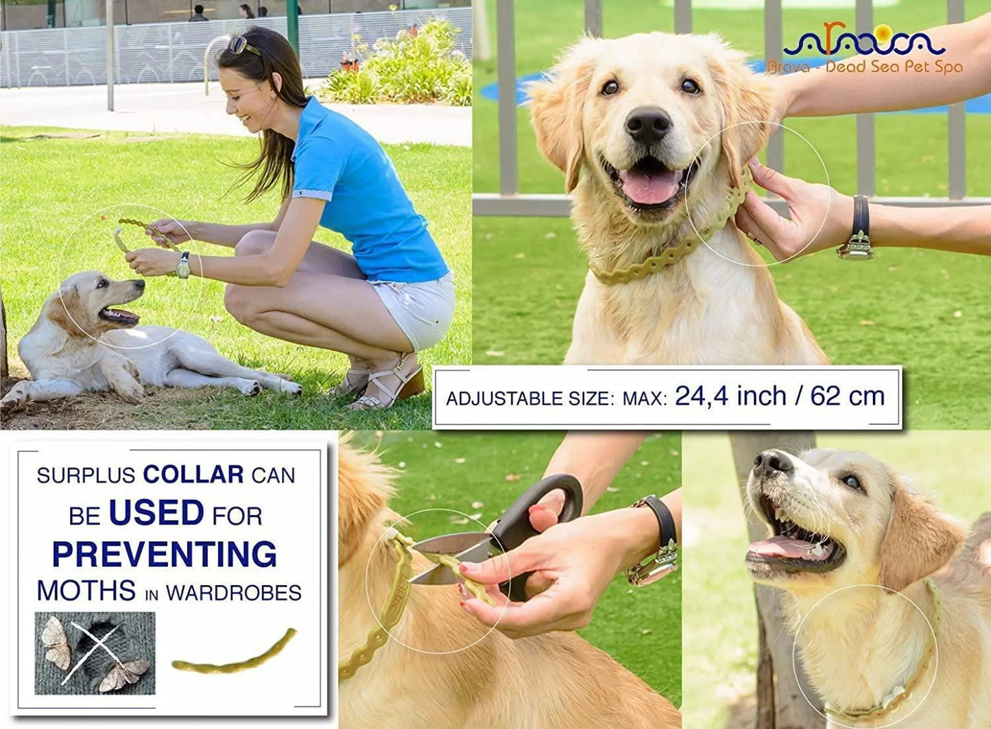 Arava Dead Sea Pet Spa Flea & Tick Collar for Dogs & Puppies — Natural Botanical Protection