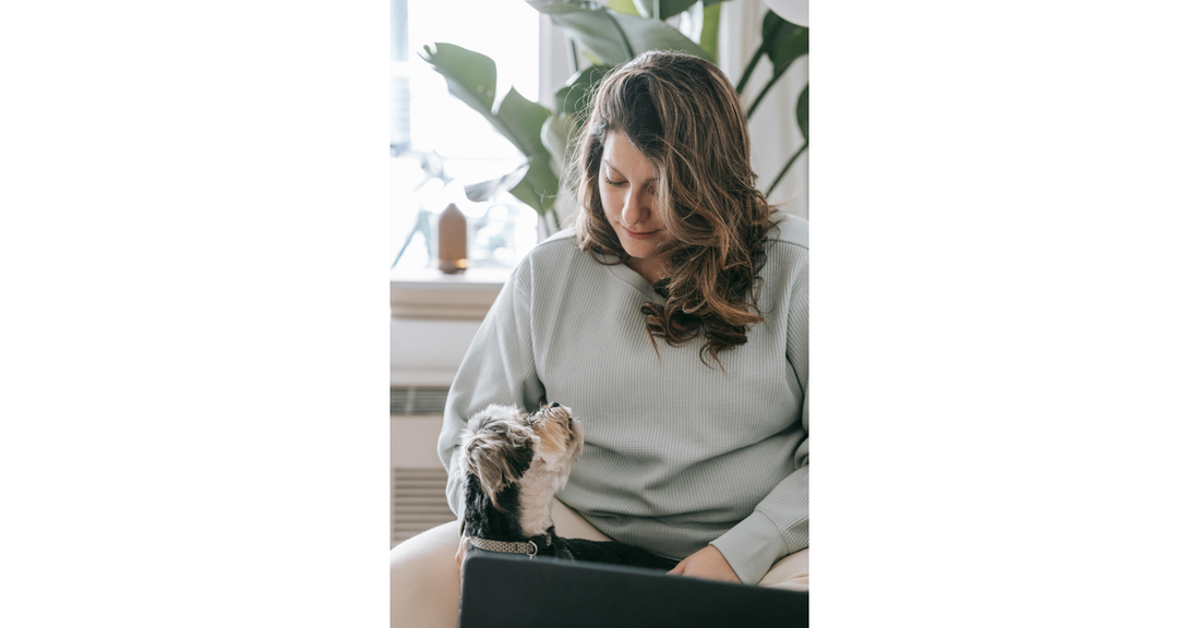 Best Probiotics for Dogs & Cats — 2025 DVM-Reviewed Buyer’s Guide