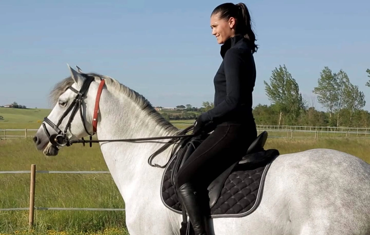 ALZOO Herbal Horse Collar