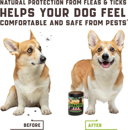 Kinpur Natural Flea & Tick Chews — Natural Defense & Immune Support for Dogs