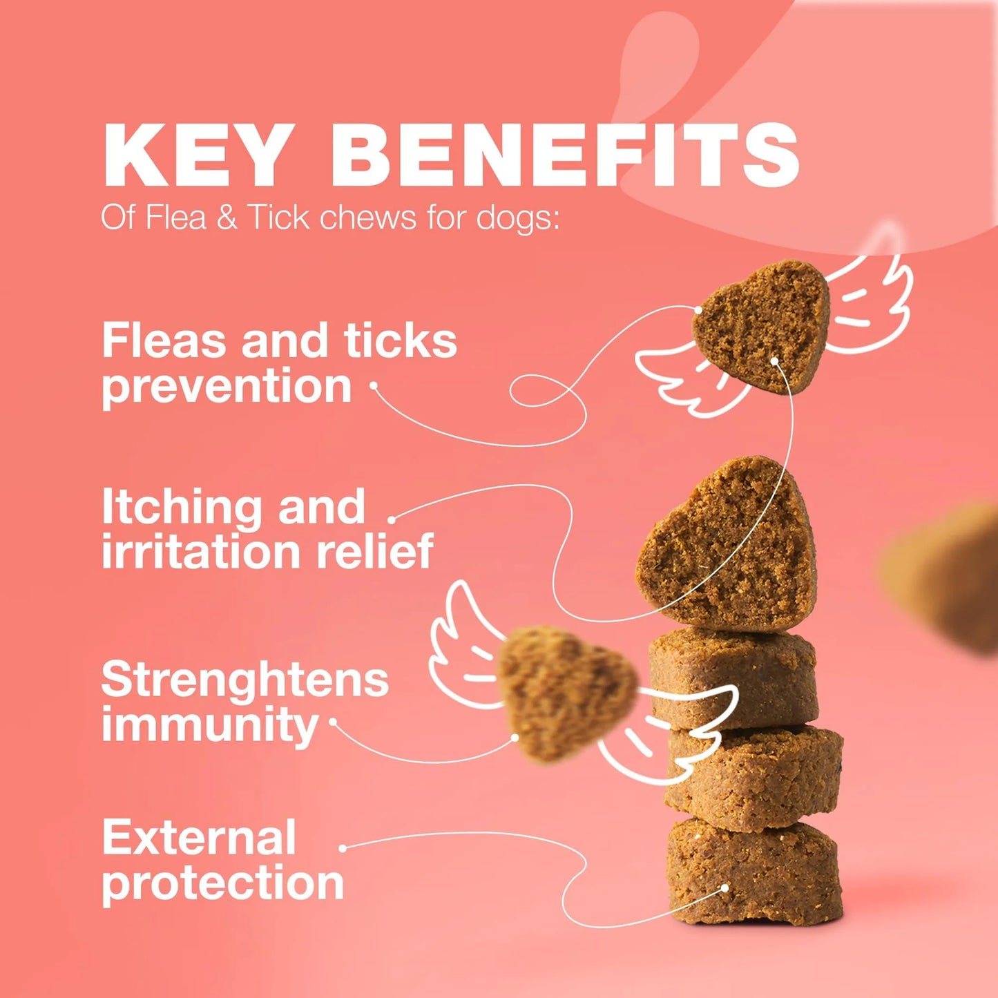 Chewia Flea & Tick Chews — Natural Prevention, Immune Support & Itch Relief Supplement for Dogs