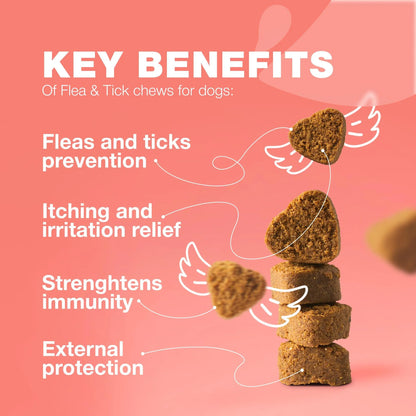 Chewia Flea & Tick Chews — Natural Prevention, Immune Support & Itch Relief Supplement for Dogs