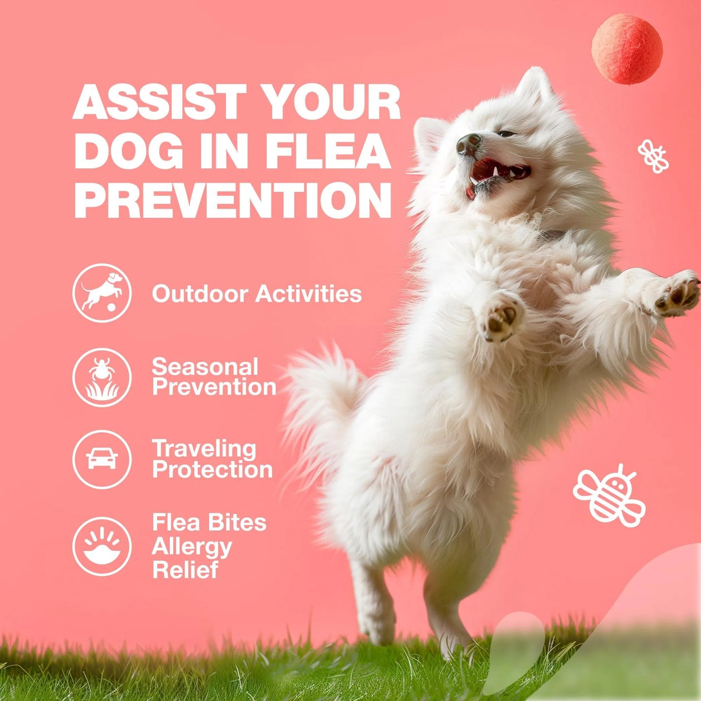 Chewia Flea & Tick Chews — Natural Prevention, Immune Support & Itch Relief Supplement for Dogs