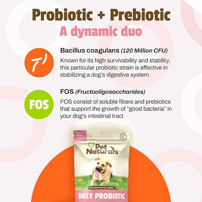 Pet Naturals® Daily Probiotic for Dogs – Digestive & Immune Support