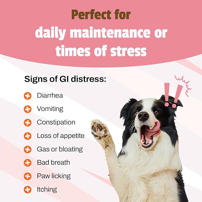 Pet Naturals® Daily Probiotic for Dogs – Digestive & Immune Support