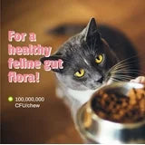 Pet Naturals® Daily Probiotic for Cats – Digestive & Stool Support