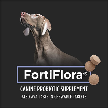 Purina FortiFlora® Probiotic Supplement for Dogs – Gut & Stool Support (30 Packets)