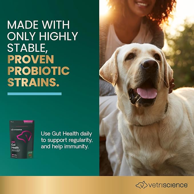 VetriScience® Gut Health – Daily Probiotic Chews for Dogs